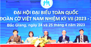 QQ88 eSports và làn sóng chấn chỉnh nội bộ tại Liên đoàn Cờ Việt Nam