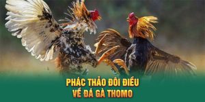 Đá Gà Thomo QQ88 – Kịch Tính Từng Giây, Thắng Lớn Mỗi Trận